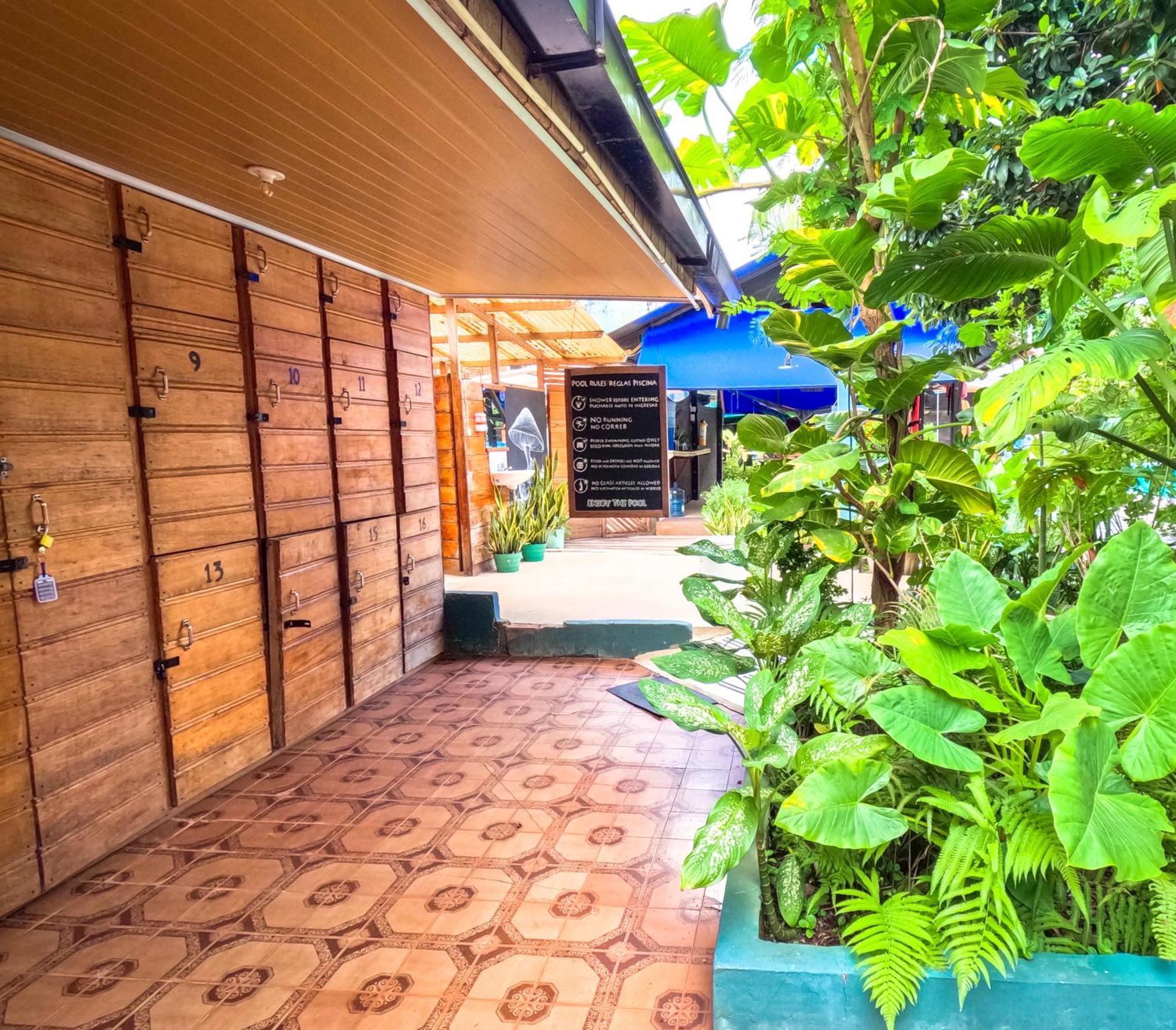 Hostel Casa De Las Palmas Tours 레티시아 외부 사진