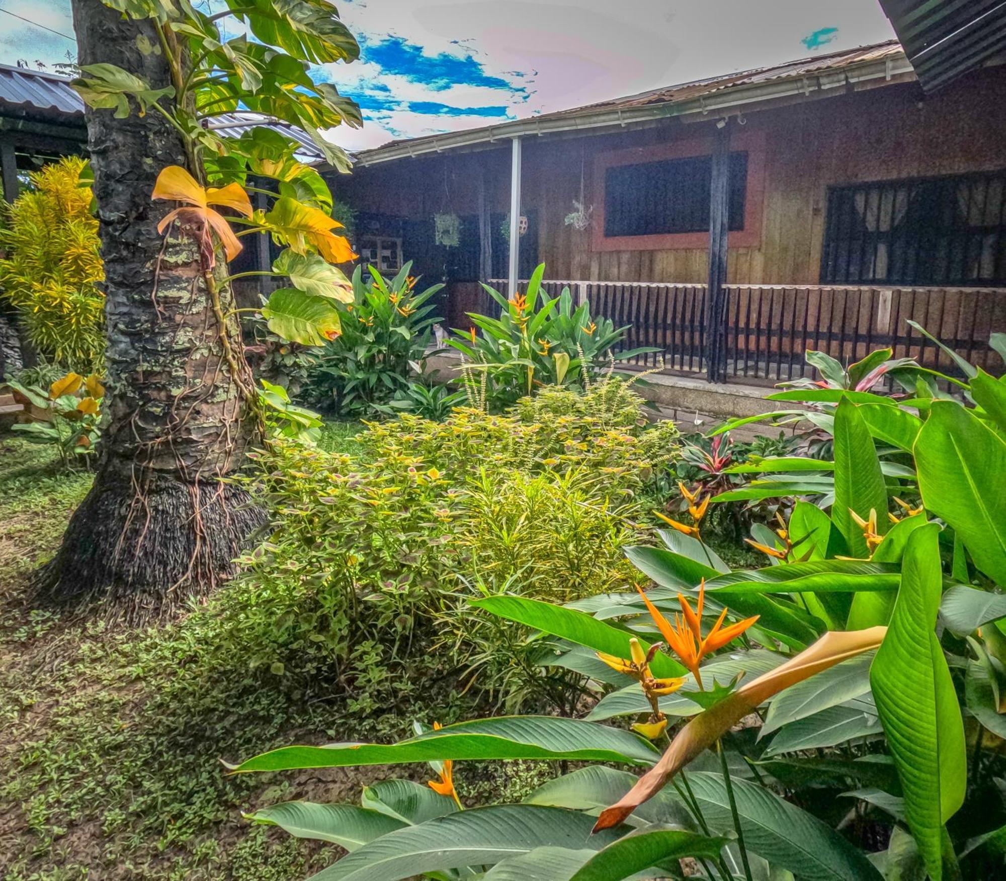 Hostel Casa De Las Palmas Tours 레티시아 외부 사진