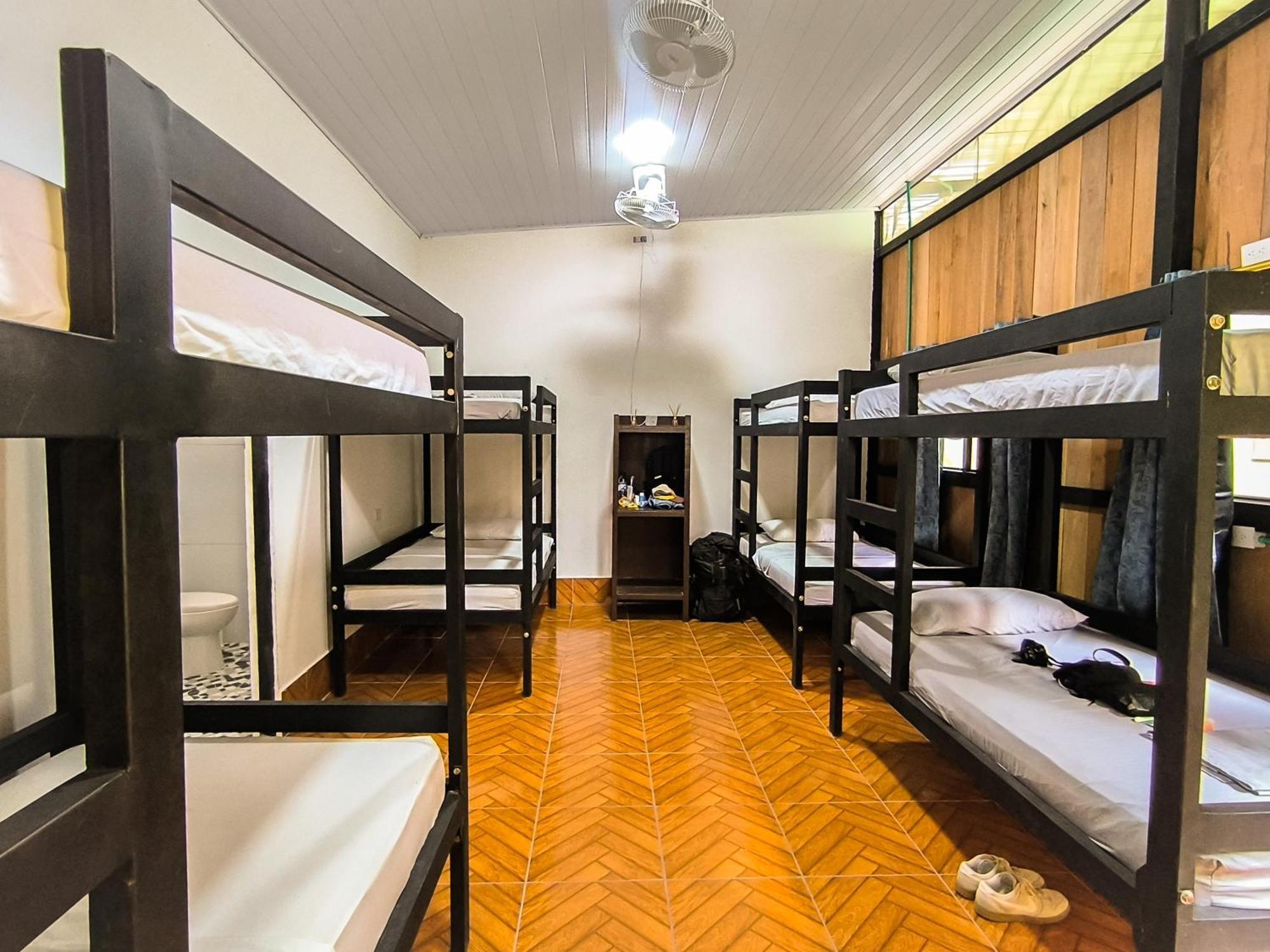 Hostel Casa De Las Palmas Tours 레티시아 외부 사진